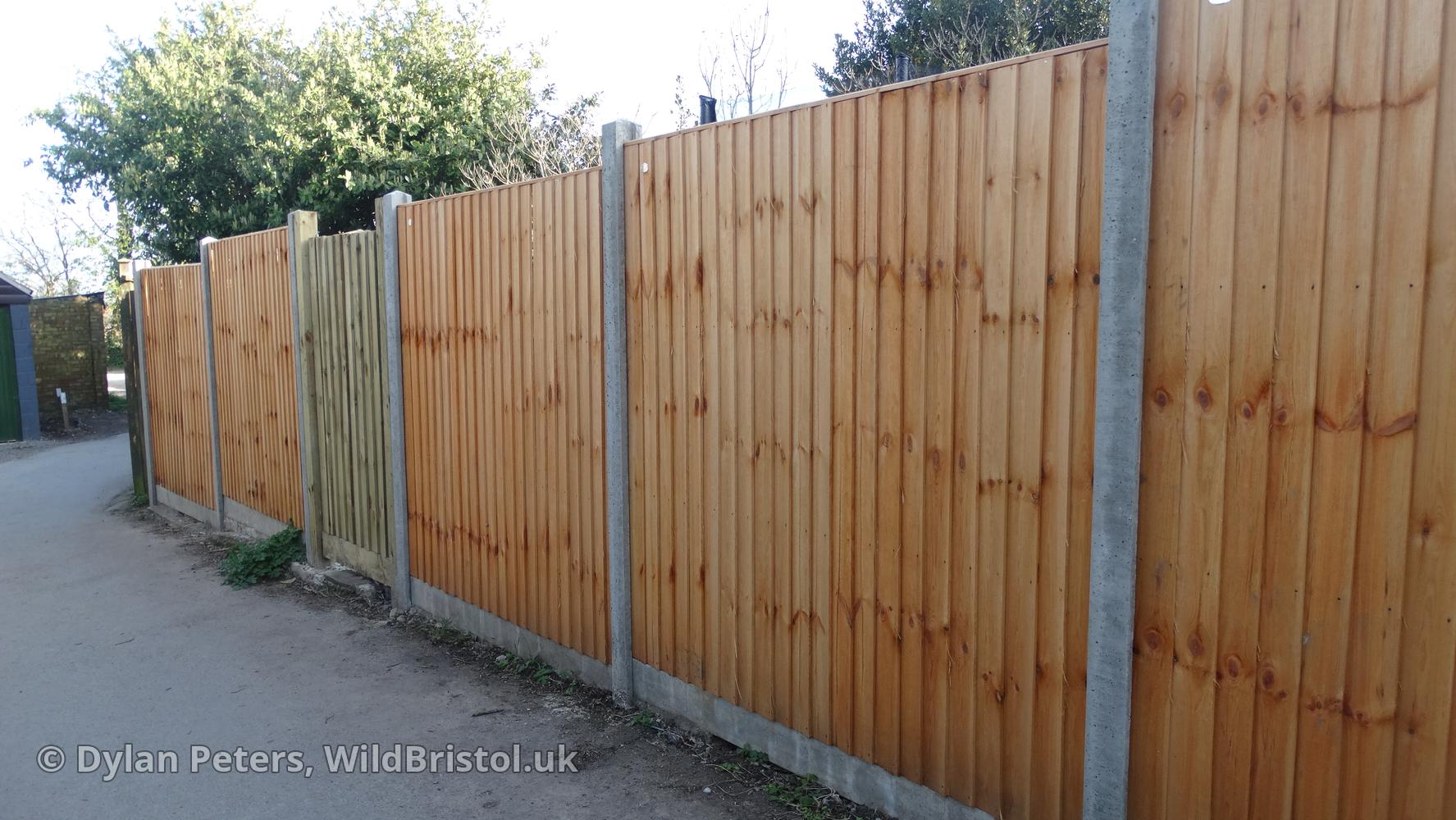 typical modern day fence
