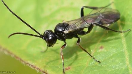 image for Endasys Unidentified 1