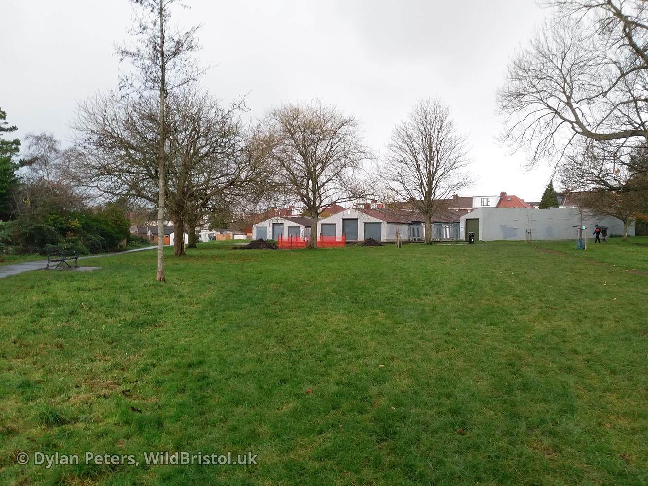 New Quab Pond under construction, 2.12.25