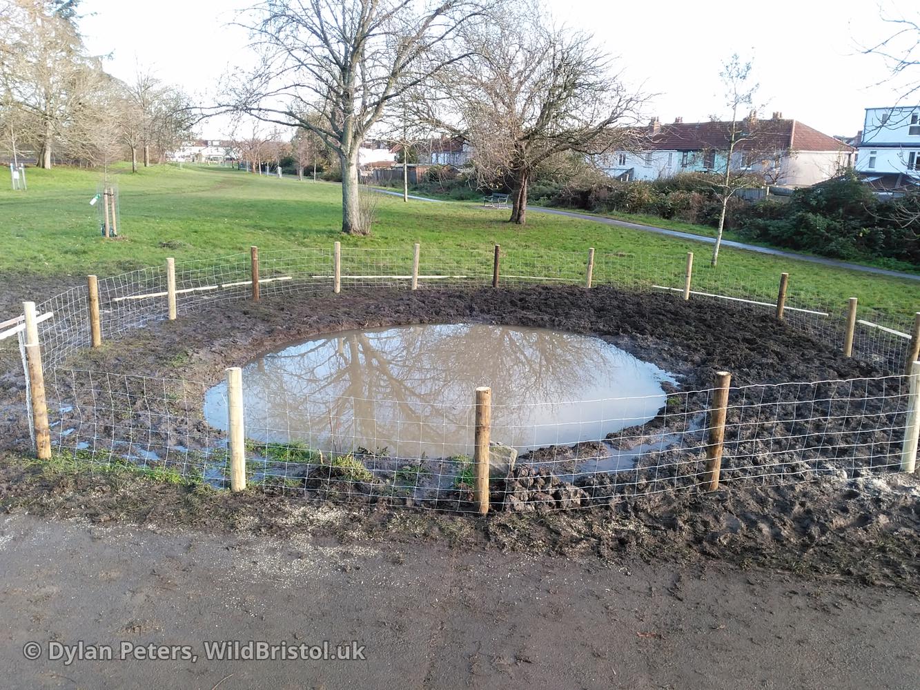 New Quab Pond under construction, 2.12.25