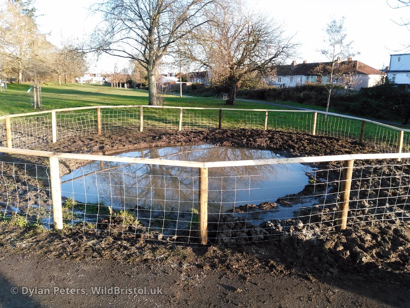 New Quab Pond under construction, 2.12.25