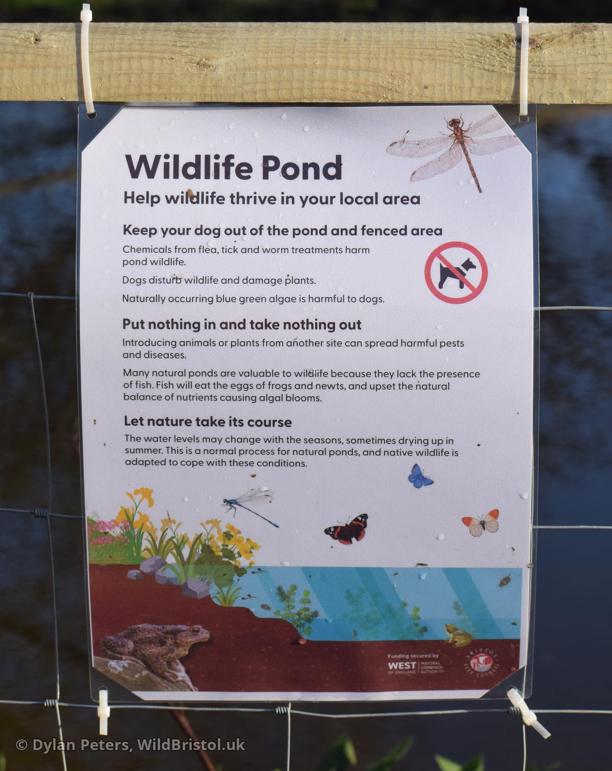 New Quab Pond sign, 20.12.25