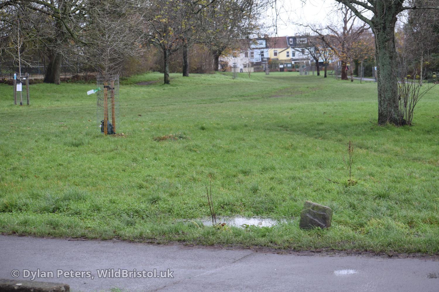 Before New Quabb Pond was built, 1.12.25