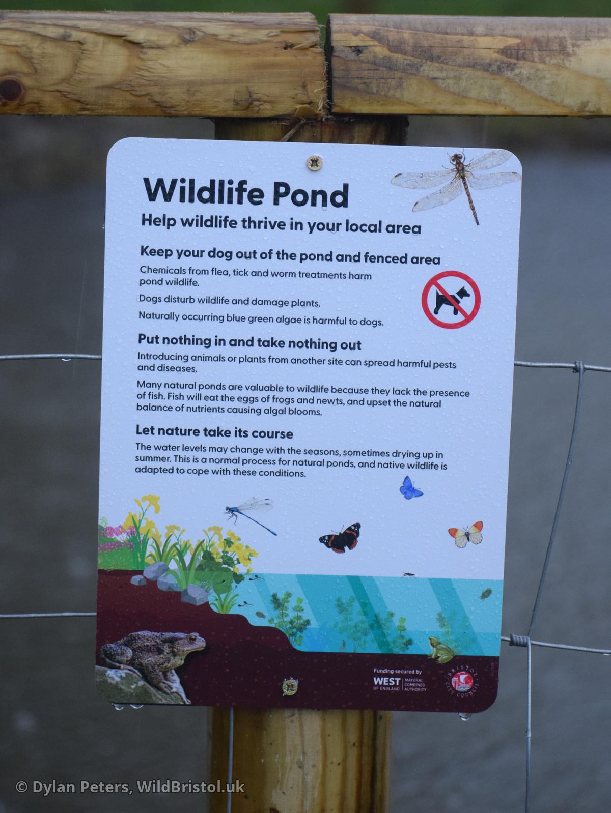 New New Quab Pond sign, 22.01.26
