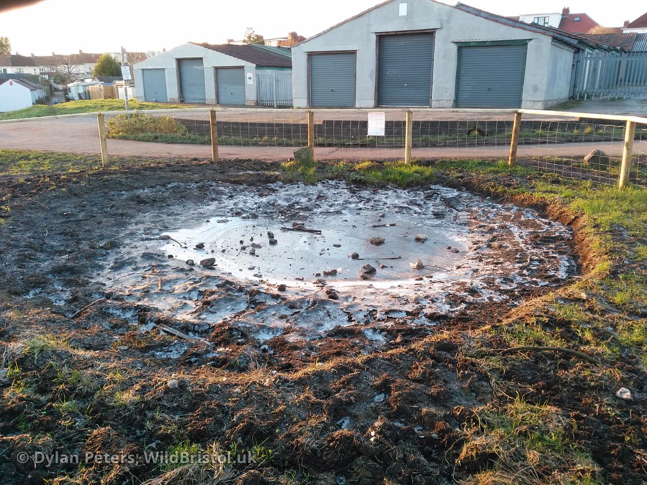 Pond iced over and covered in sticks and stones which ignorant idiots chucked to see if the ice would break, 5.01.26