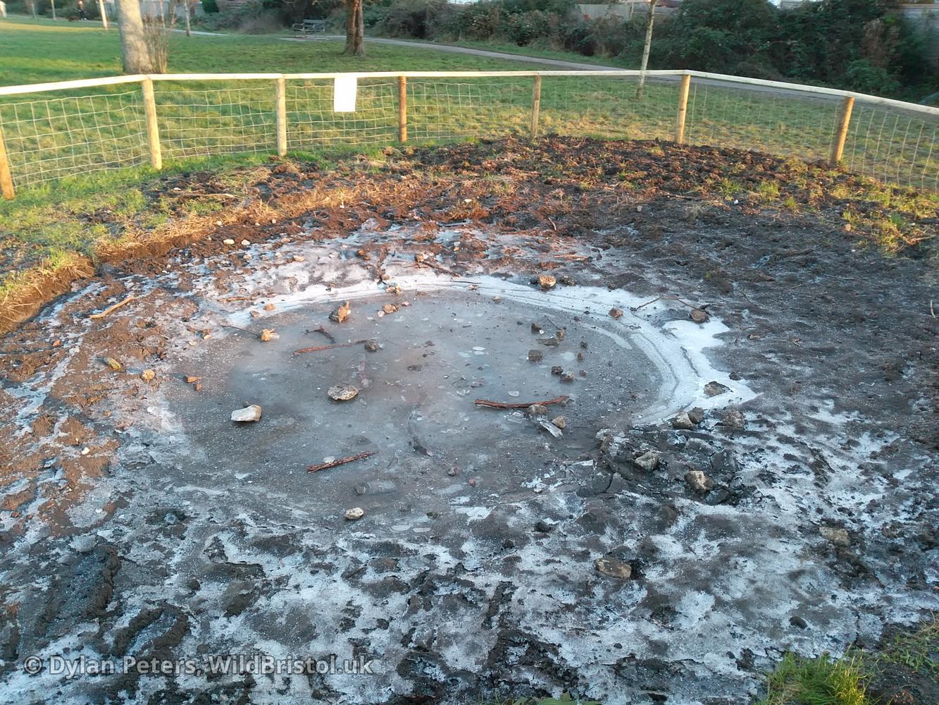 Pond iced over and covered in sticks and stones which ignorant idiots chucked to see if the ice would break, 5.01.26