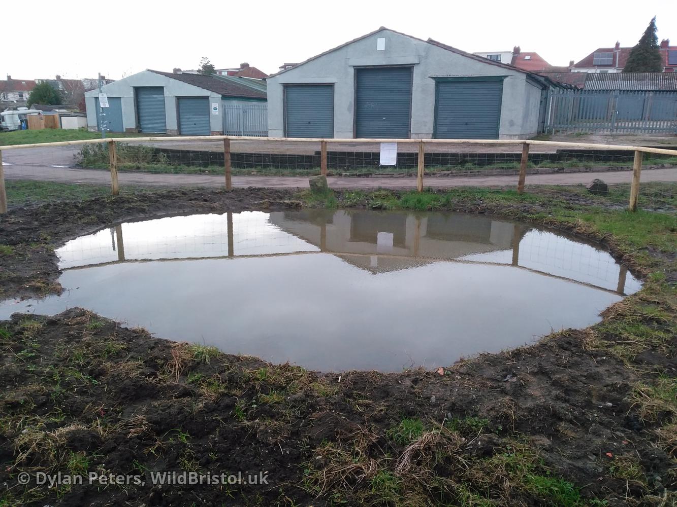Pond full up again, 7.01.26