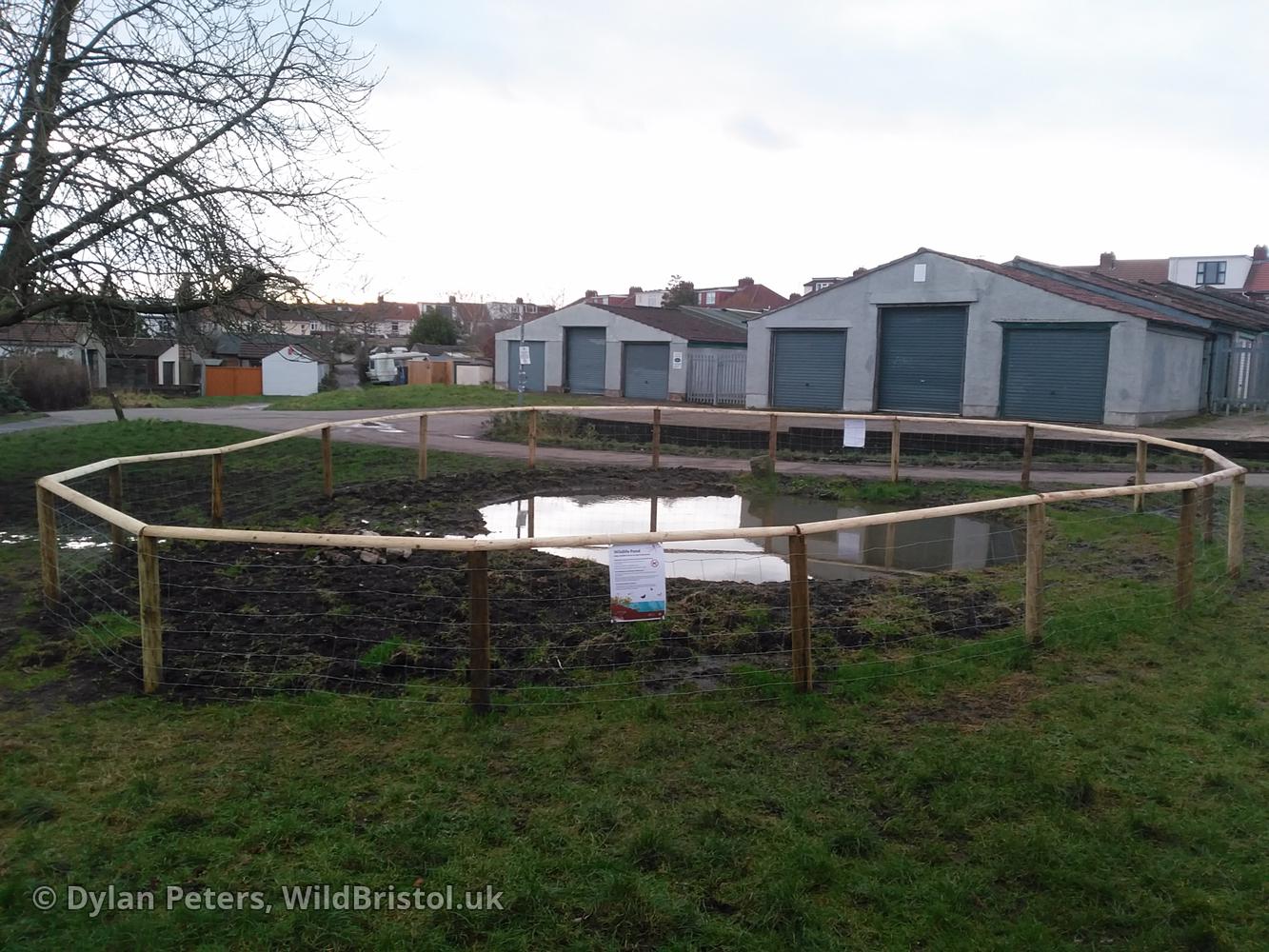 Pond full up again, 7.01.26