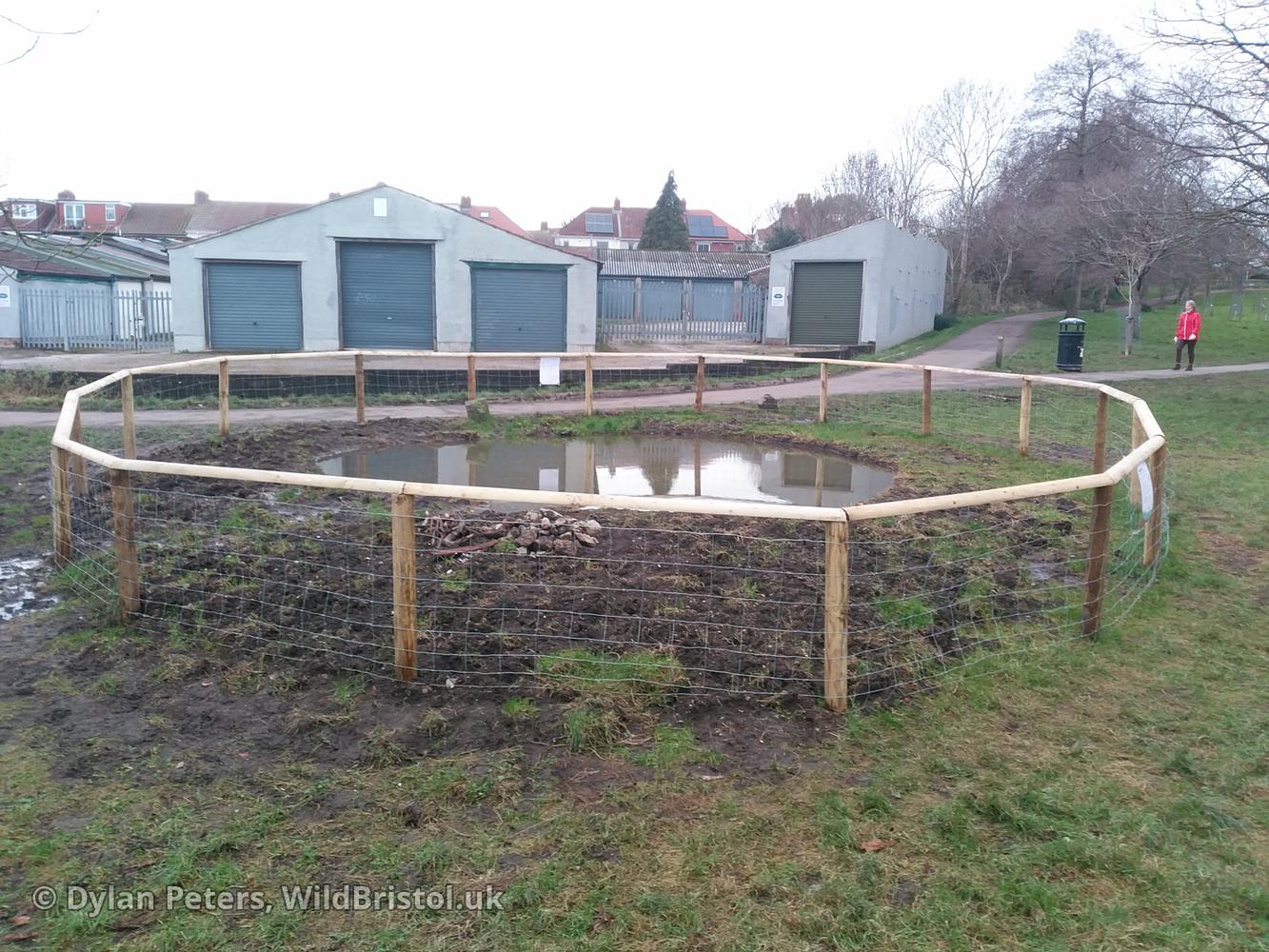 Pond full up again, 7.01.26