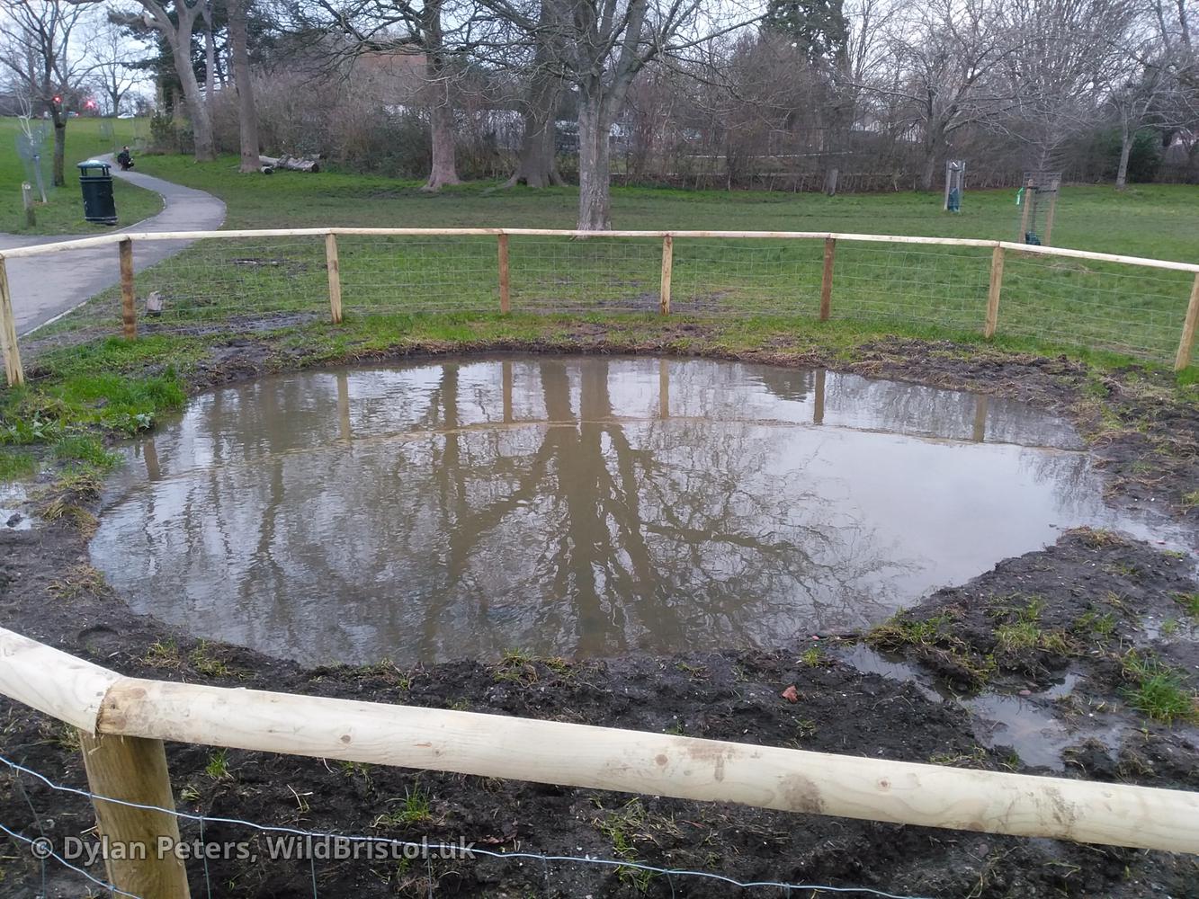 Pond full up again, 7.01.26
