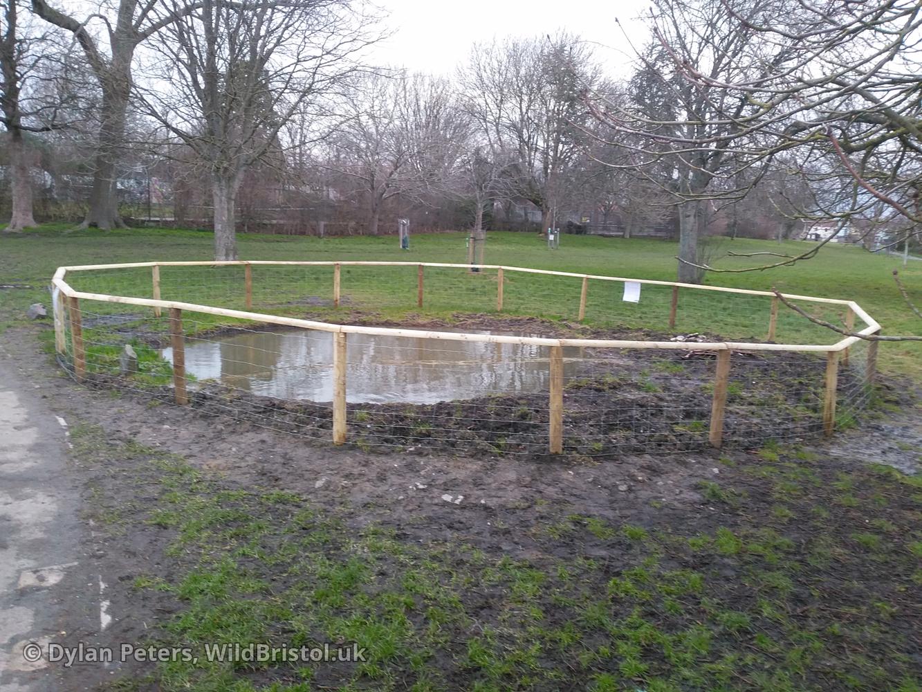 Pond full up again, 7.01.26