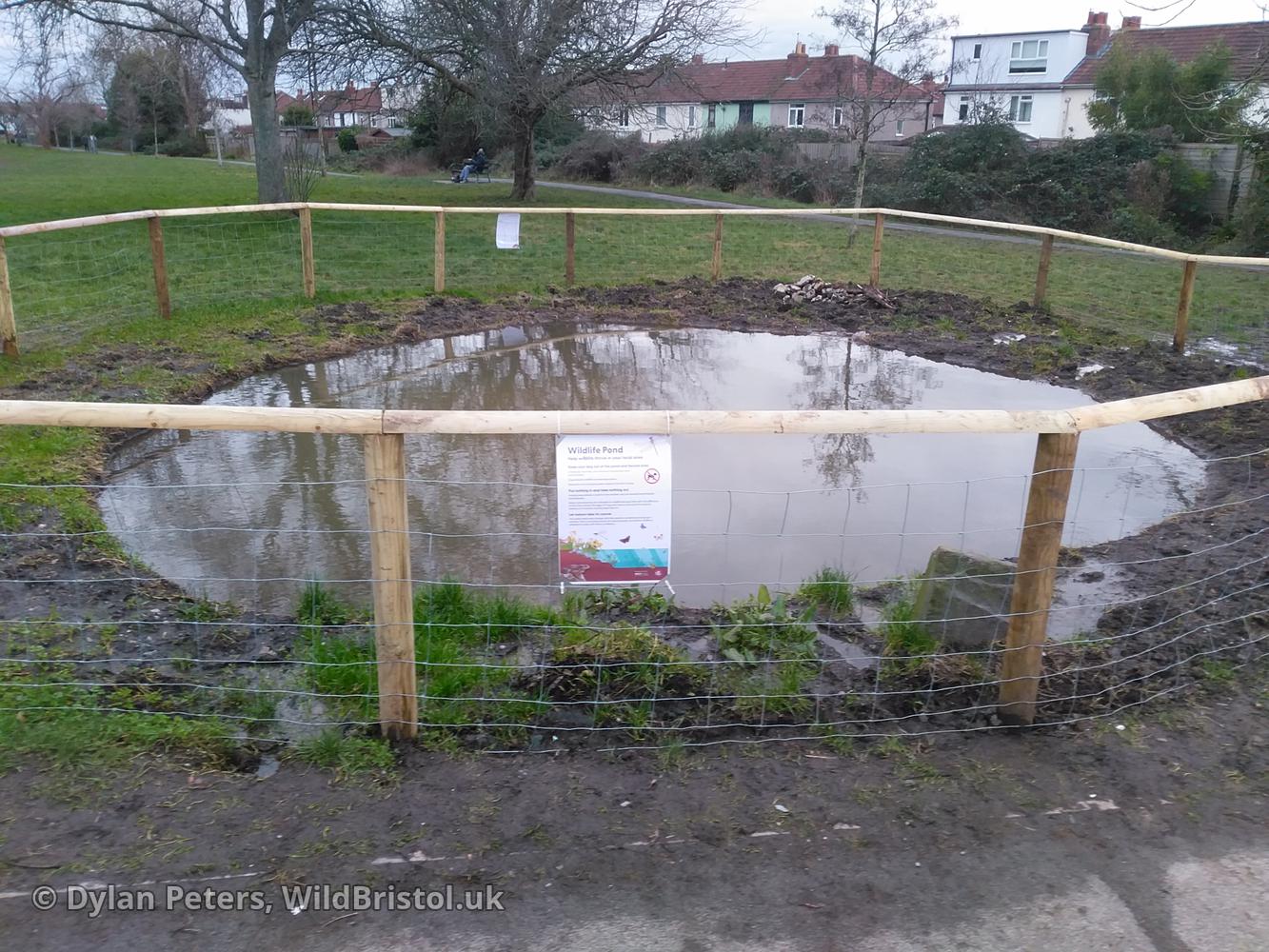 Pond full up again, 7.01.26