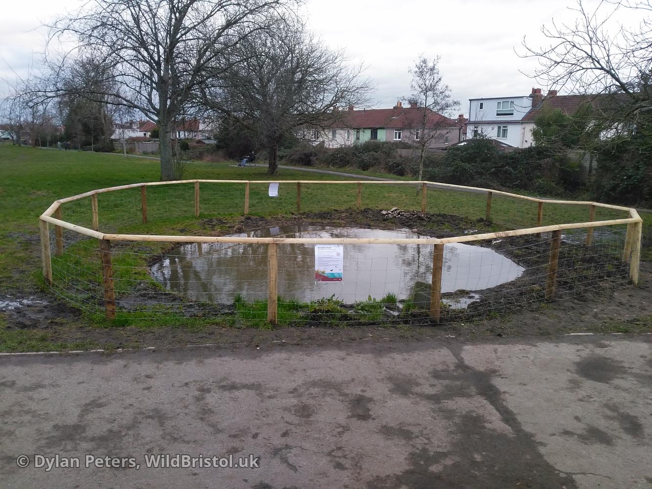 Pond full up again, 7.01.26