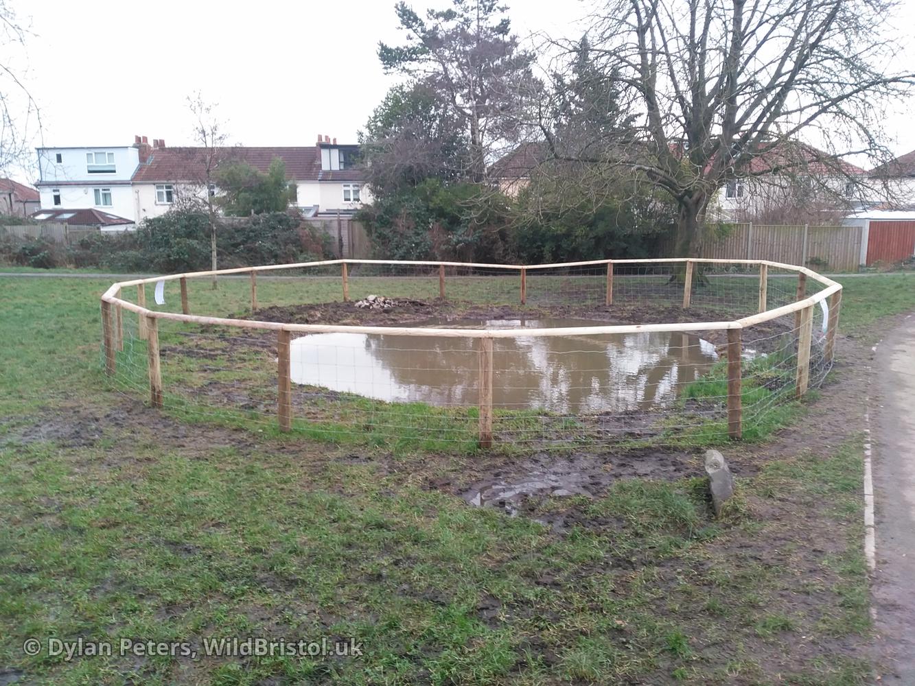 Pond full up again, 7.01.26