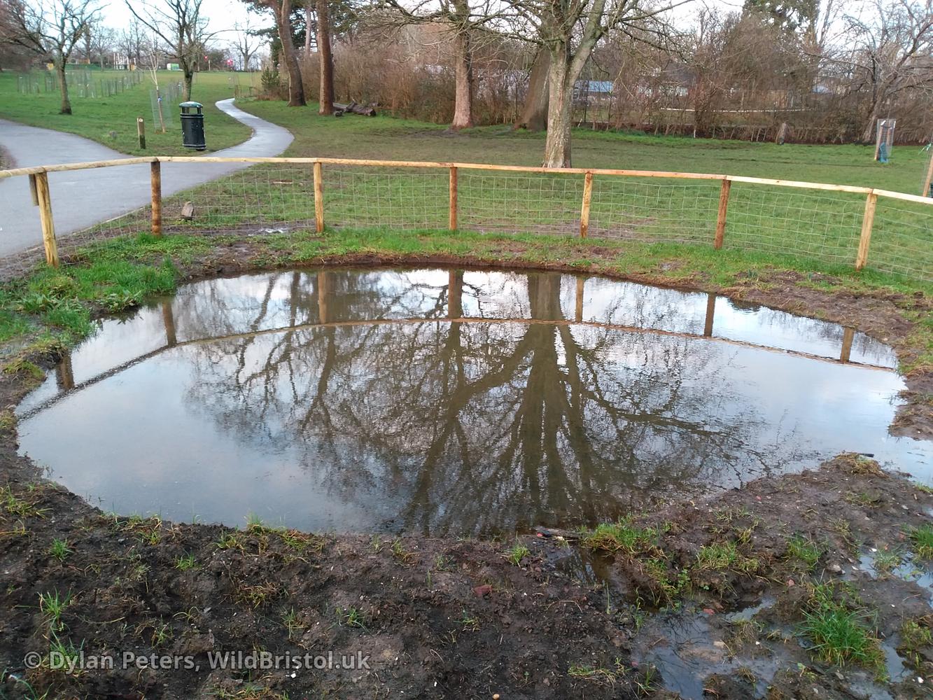 Pond full up again, 25.01.26