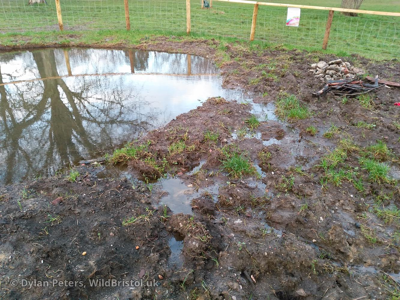 Pond full up again, 25.01.26