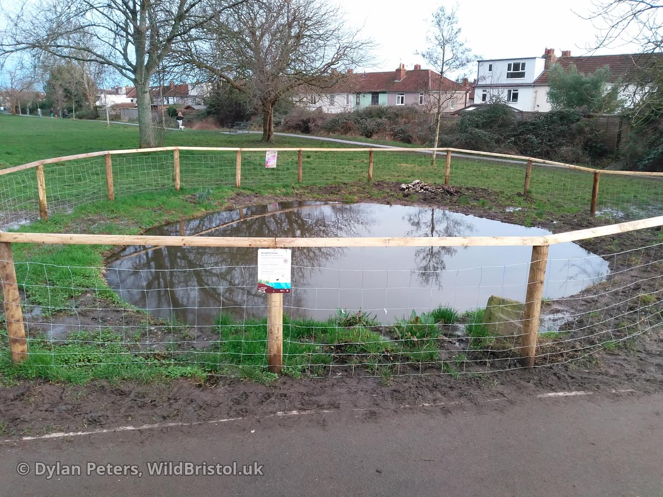 Pond full up again, 25.01.26