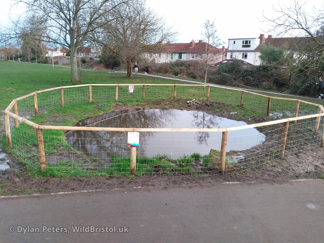 Pond full up again, 25.01.26