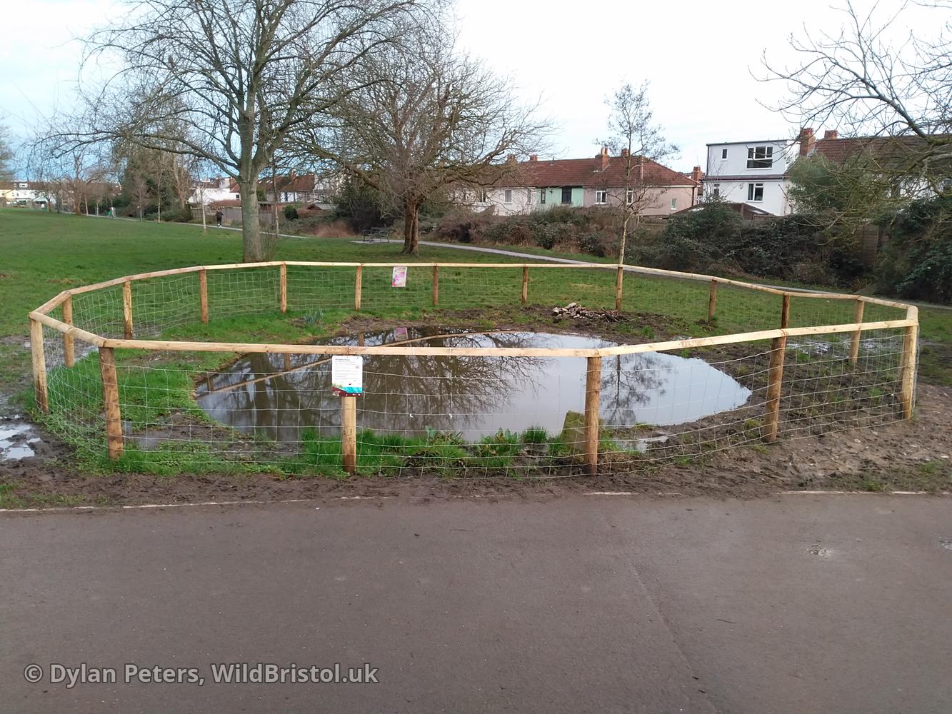 Pond full up again, 25.01.26